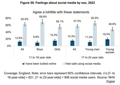 DfE research into levels of online bullying - chart 59